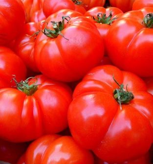 pomidory na przetwory